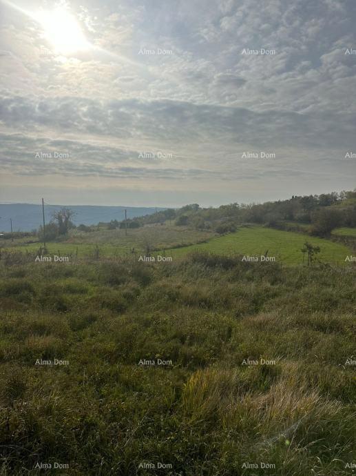 Prodaja građevinskega zemljišča, v neposredni bližini Oprtlja