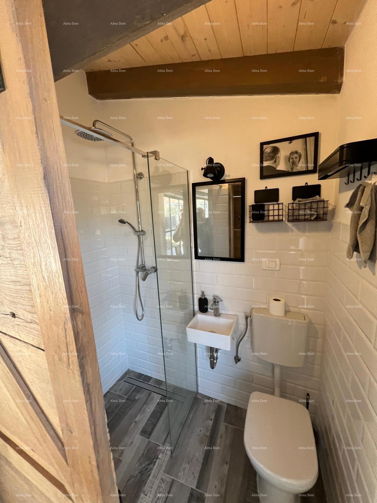 Prekrasna rustikalna hiša s bazenom in manjšim objektom