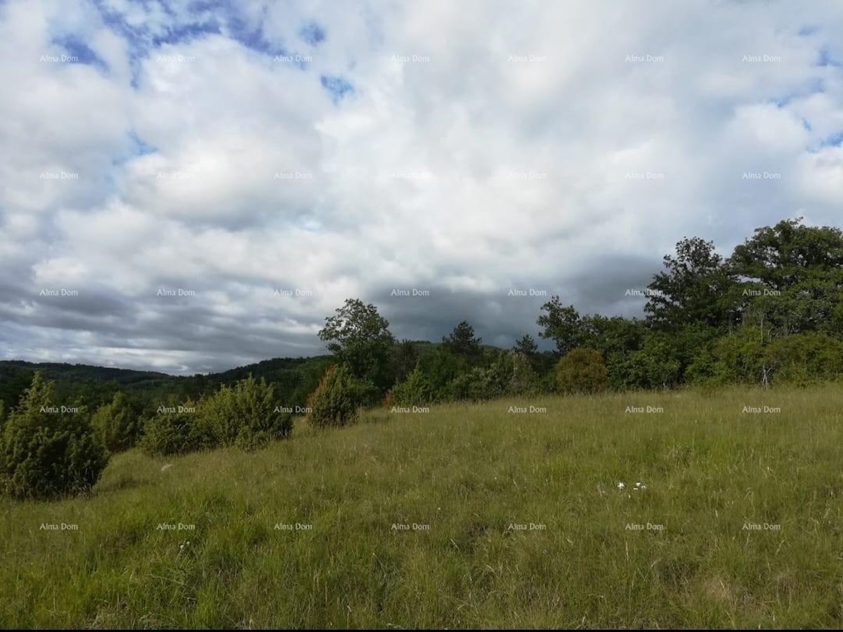 Prodamo zazidljivo zemljišče v Loborici, površine 976 m2