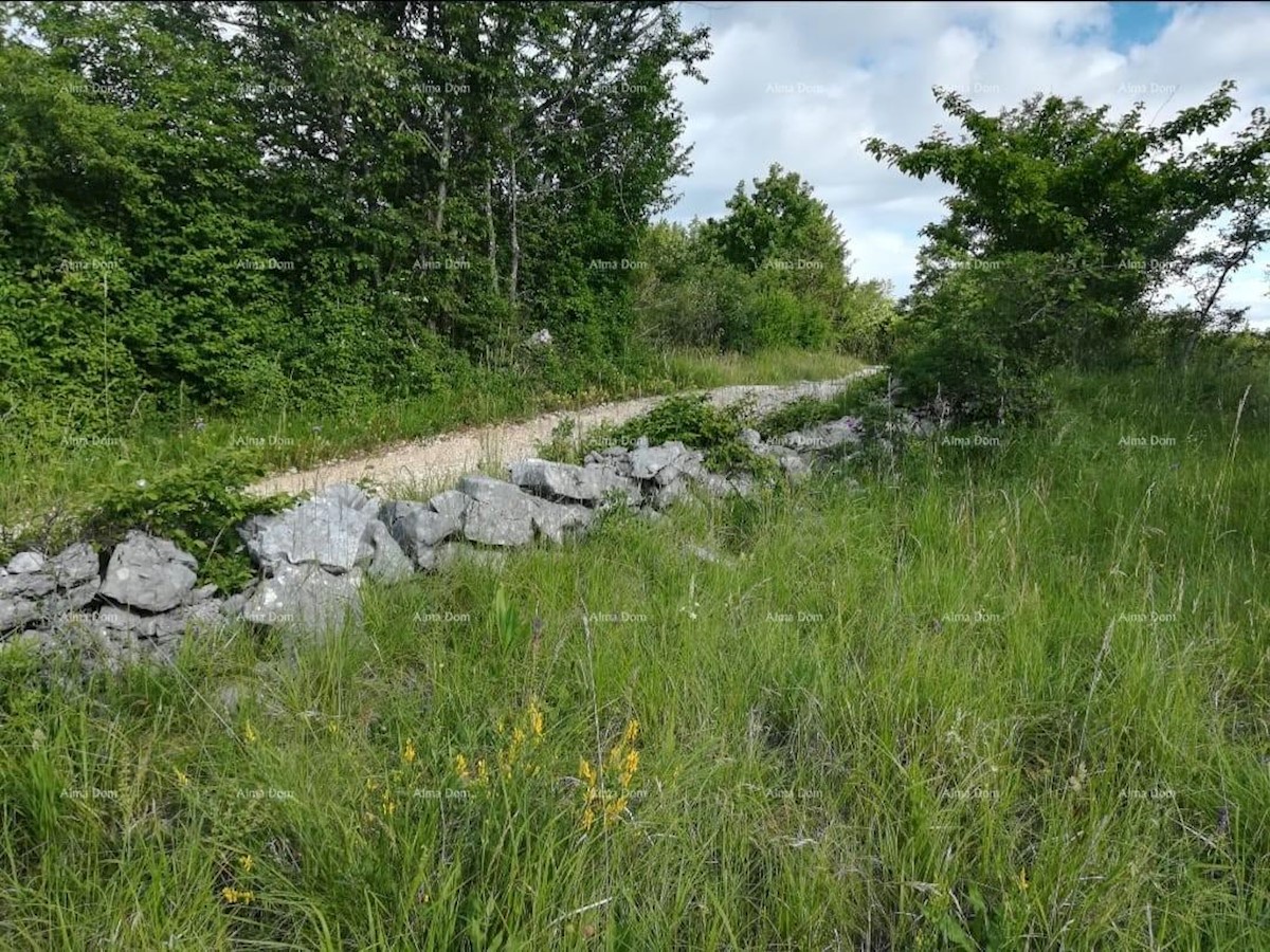 Prodamo zazidljivo zemljišče v Loborici, površine 976 m2