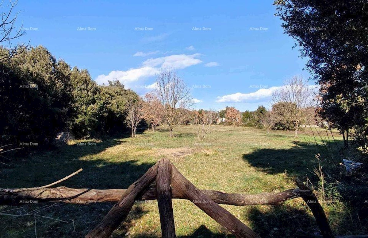 Prodamo kmetijsko zemljišče, površine 3143 m2, v Šišanu