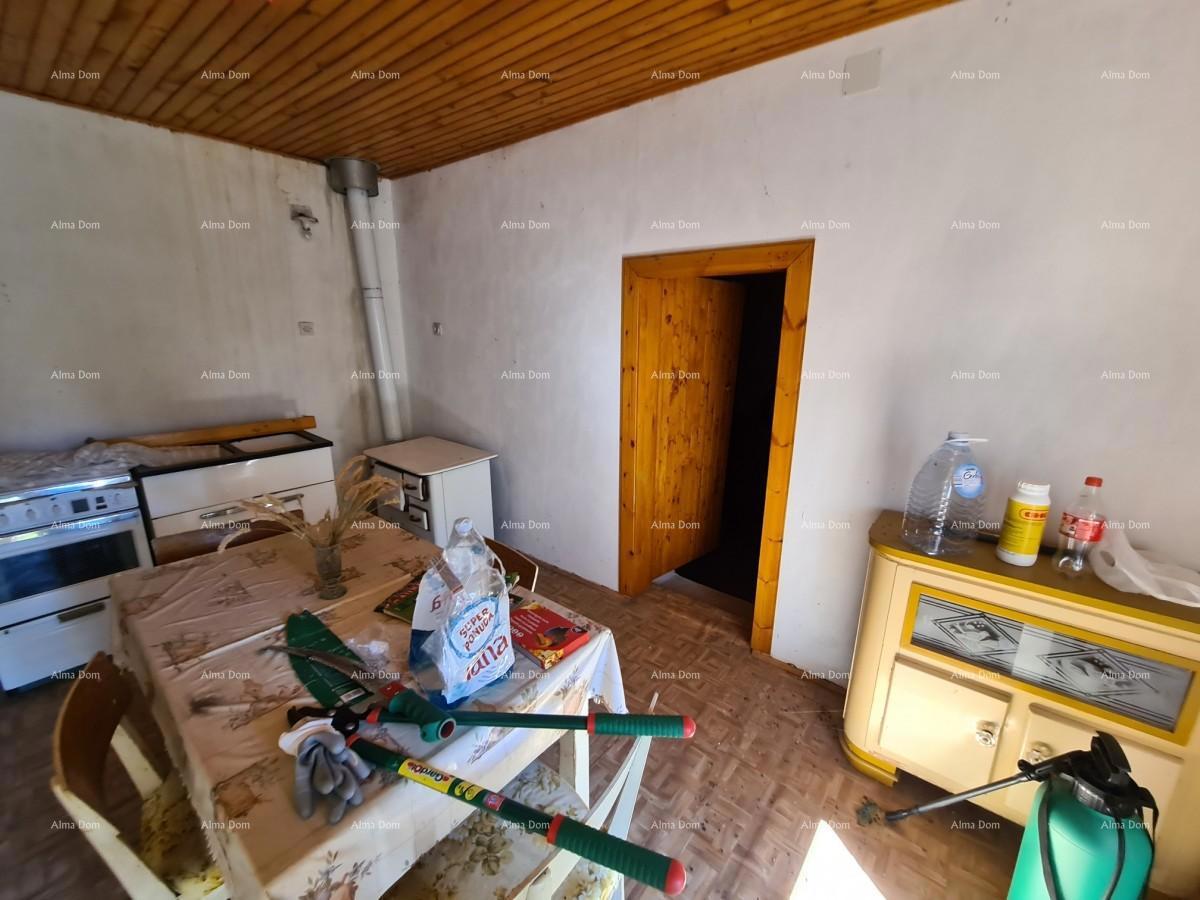 Posestvo pri Vodnjanu! Velika parcela 7154 m2!!