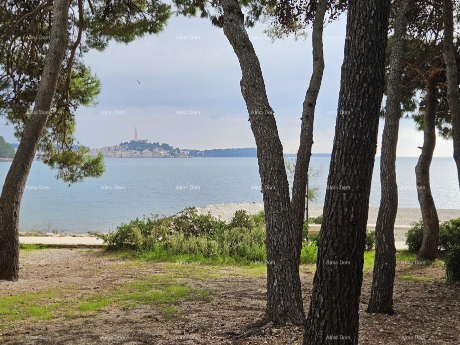 Nepremičnina blizu plaže, obdana z borovci