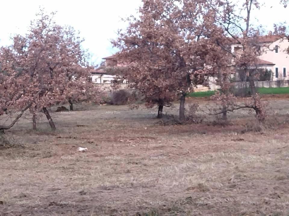 Kaštelir, gradbena parcela 1276 m²