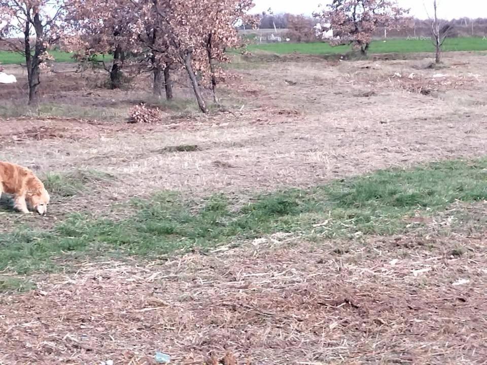 Kaštelir, gradbena parcela 1276 m²
