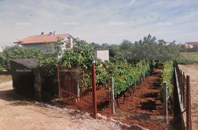 Prodaja samostojeće kuće u Fažani.