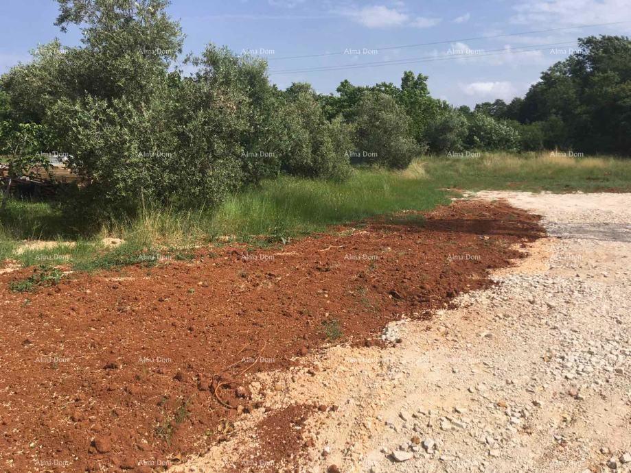 Dolgoročni najem!! Veliko zemljišče ob glavni prometnici, Pula!