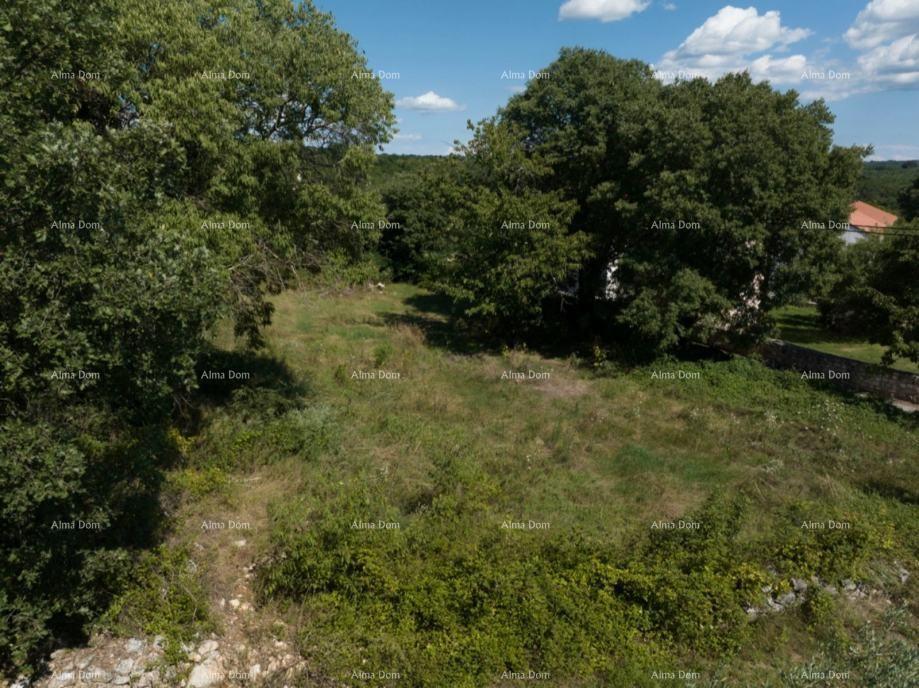 Višnjan, Gradbena parcela s projektom in dovoljenjem – 990 m²