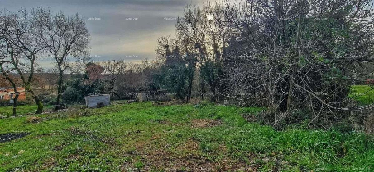 Nova Vas (Brtonigla) – Gradbena zemljišča 555 m²