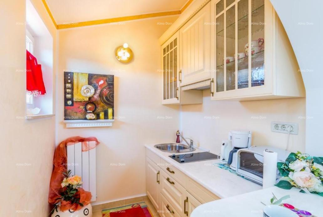 Hiša z apartmaji in bazenom v Premanturi – pogled na morje!