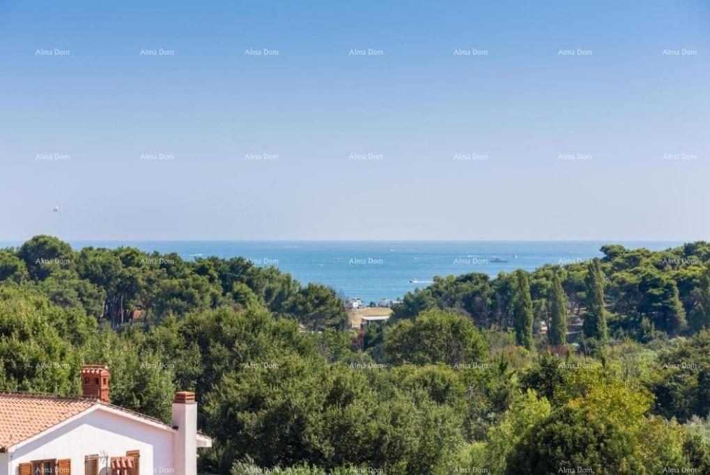 Hiša z apartmaji in bazenom v Premanturi – pogled na morje!