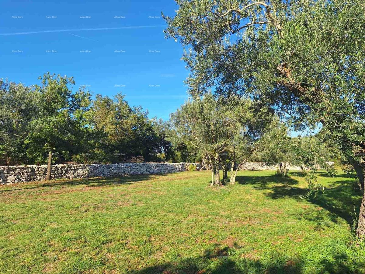 The translated title in Slovenian is: "KMETIJSKA zemlja v bližini morja, Peroj-prodaja!"