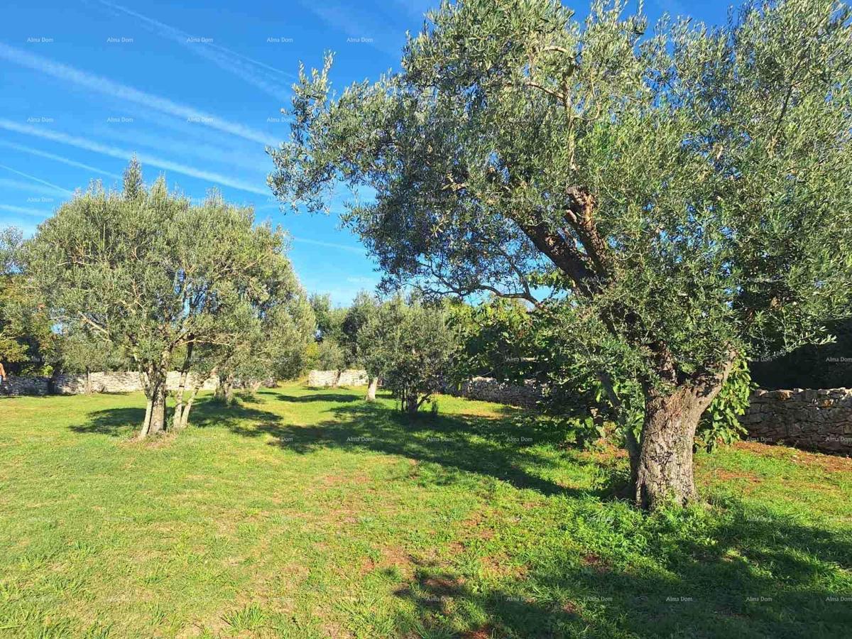 The translated title in Slovenian is: "KMETIJSKA zemlja v bližini morja, Peroj-prodaja!"