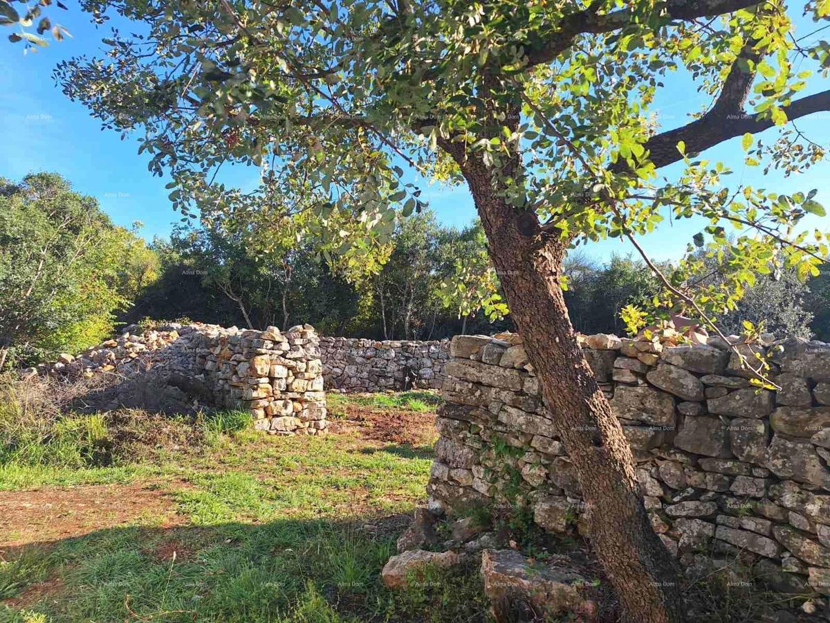 The translated title in Slovenian is: "KMETIJSKA zemlja v bližini morja, Peroj-prodaja!"