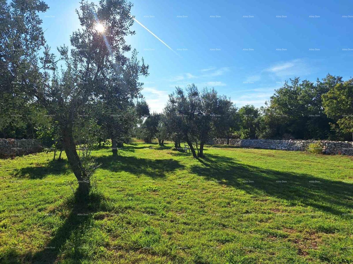 The translated title in Slovenian is: "KMETIJSKA zemlja v bližini morja, Peroj-prodaja!"