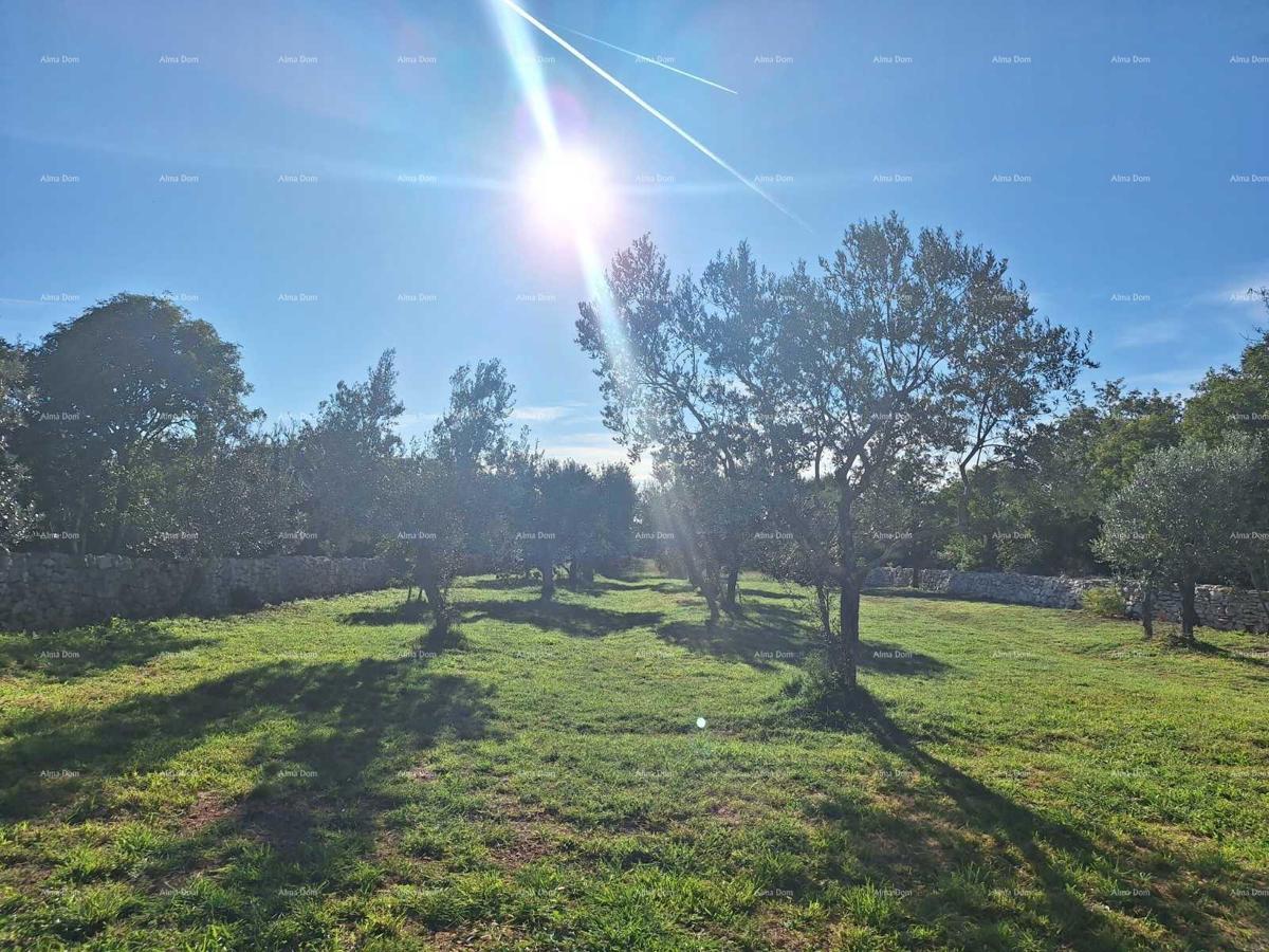 The translated title in Slovenian is: "KMETIJSKA zemlja v bližini morja, Peroj-prodaja!"