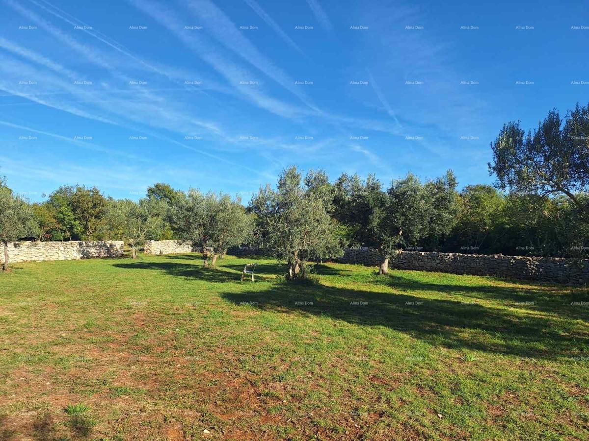 The translated title in Slovenian is: "KMETIJSKA zemlja v bližini morja, Peroj-prodaja!"