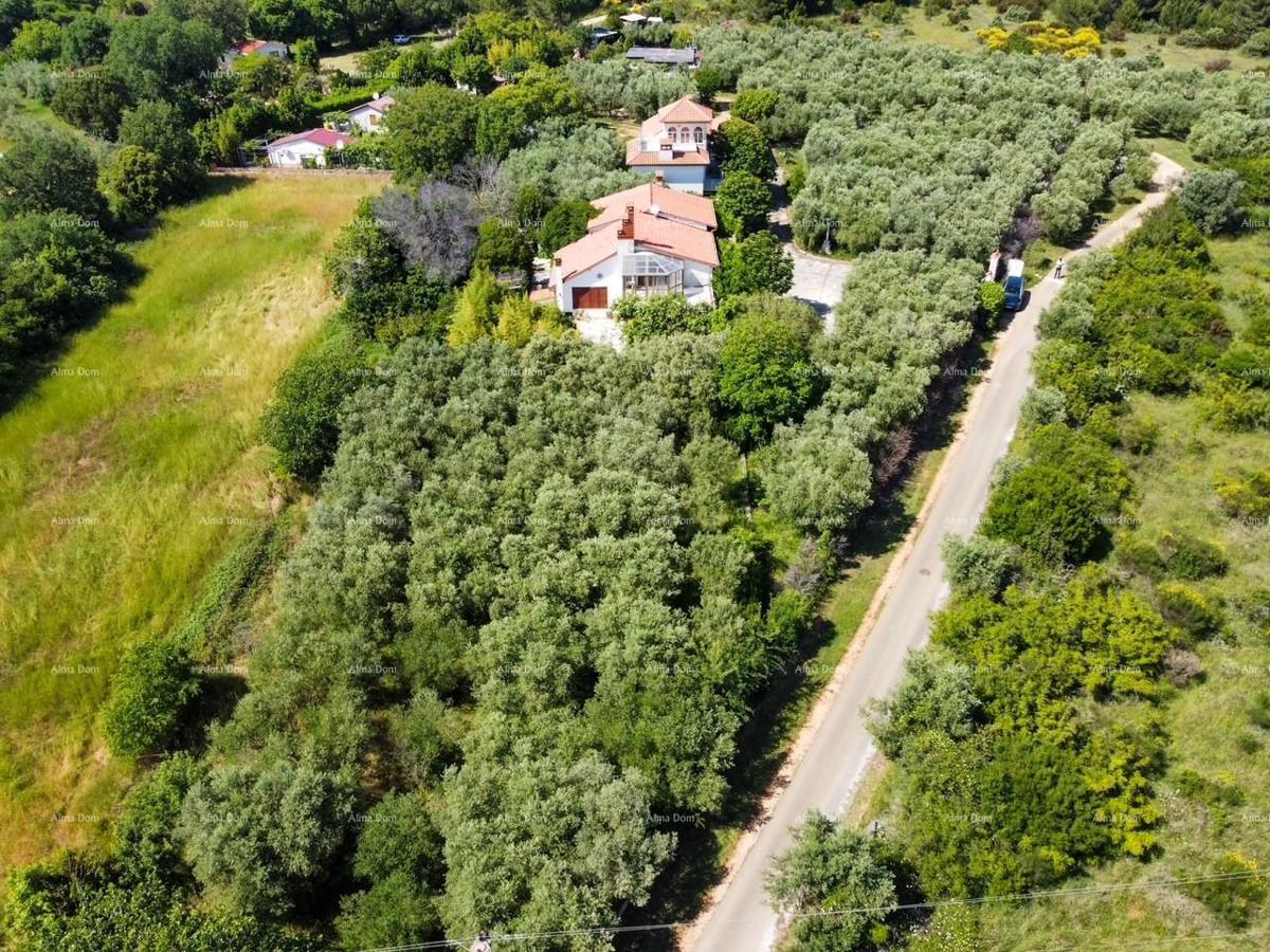 Popoln mir in potencial: nepremičnina s 12 spalnicami, bazenom in čudovitim pogledom na morje v Pomeru