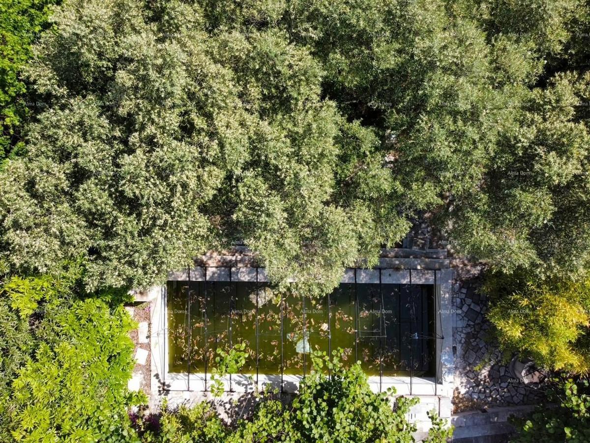 Popoln mir in potencial: nepremičnina s 12 spalnicami, bazenom in čudovitim pogledom na morje v Pomeru