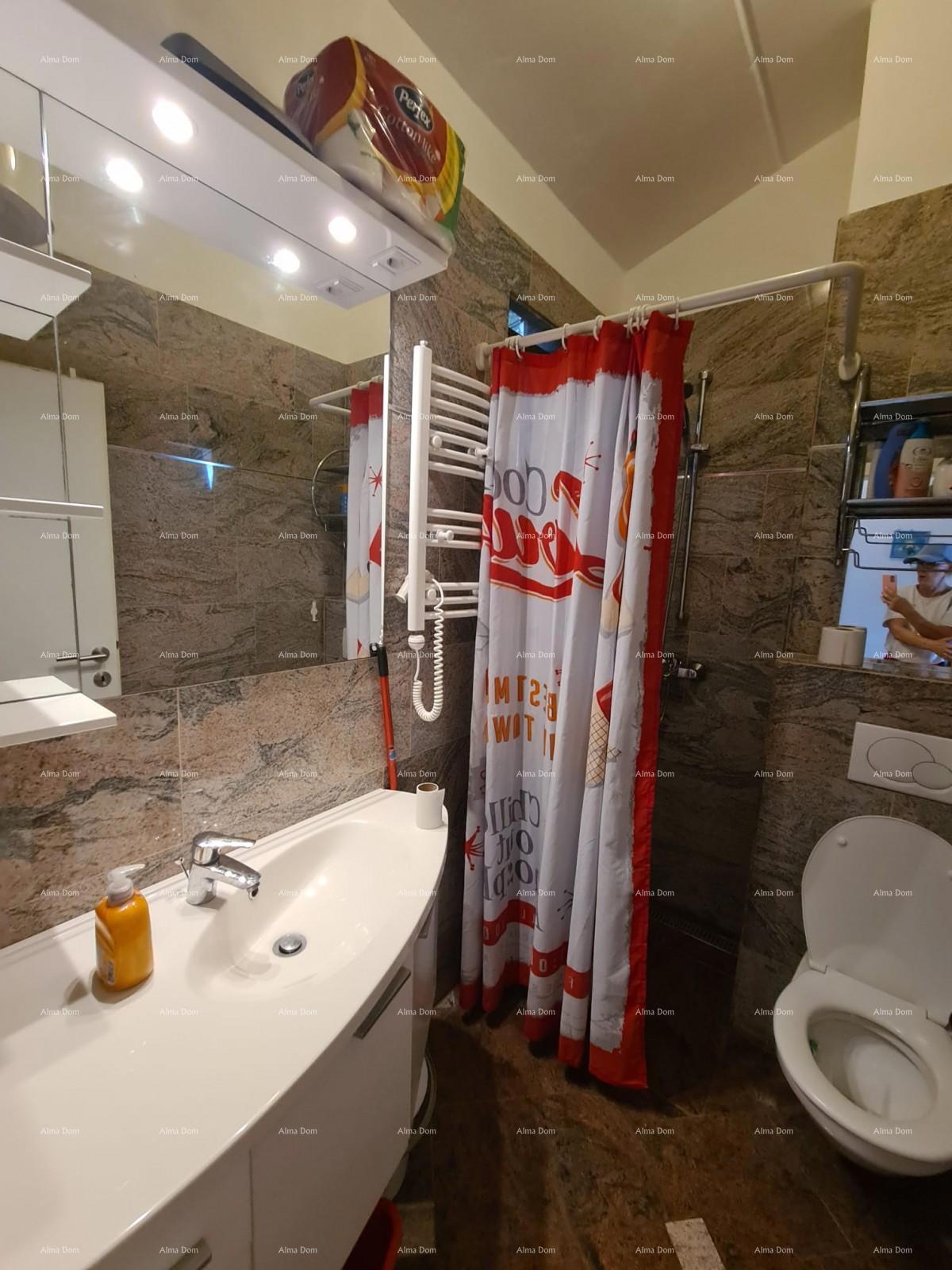 Prodaja stana s galerijom, Barbariga