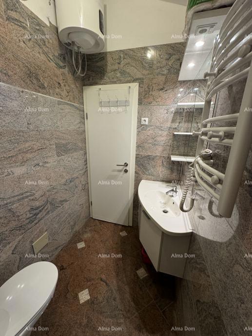 Prodaja stana s galerijom, Barbariga