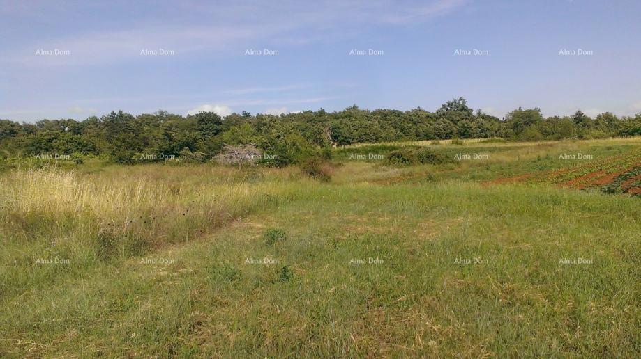 Građevinsko zemljište 2.539 m² – Smoljanci, Svetvinčenat