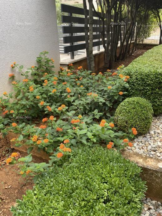 Pula – Hiša z dvema stanovanjski enotama, 50 m od morja