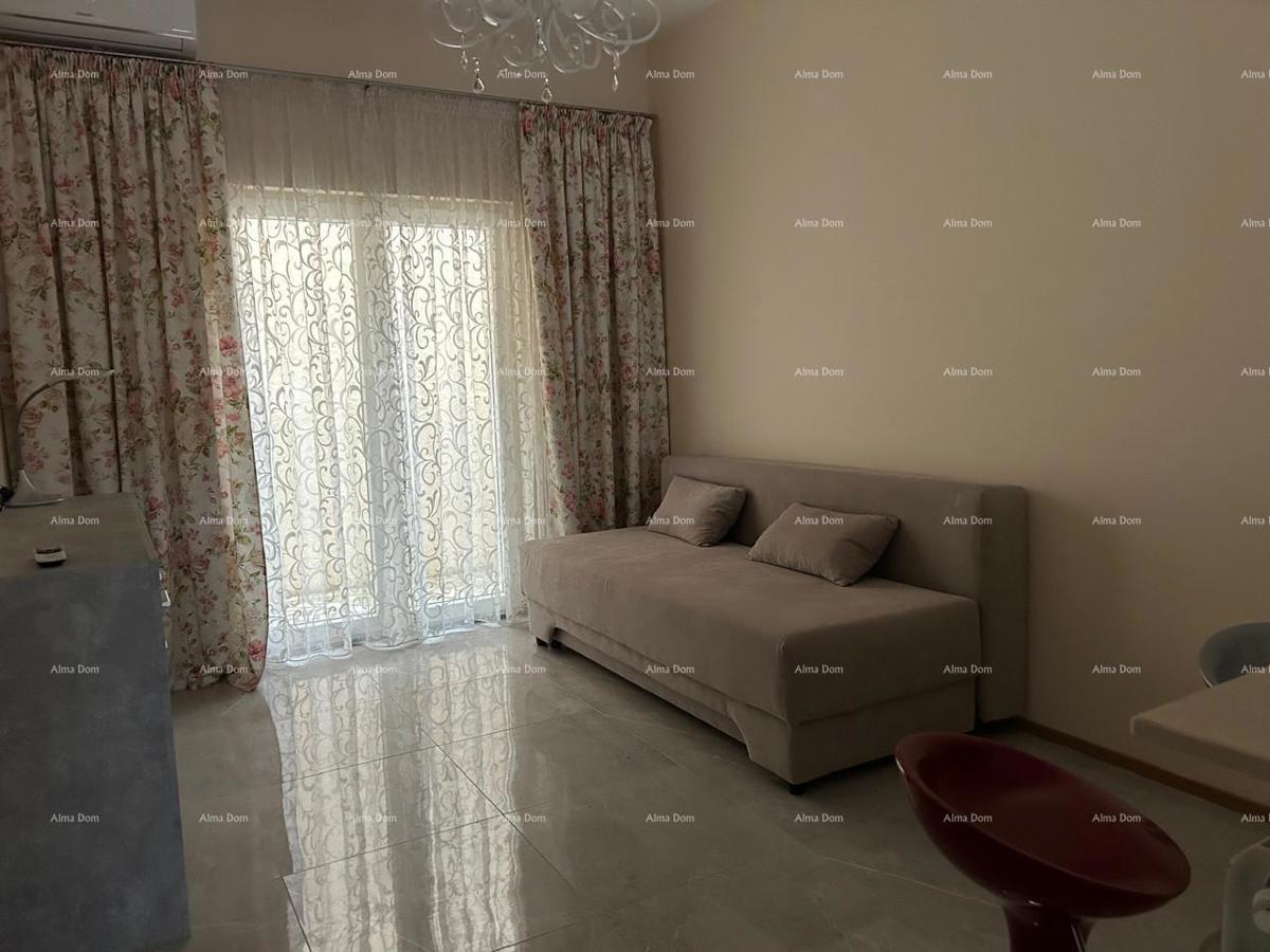 Ližnjan, urejena in popolnoma opremljena hiša z garažo in kletjo