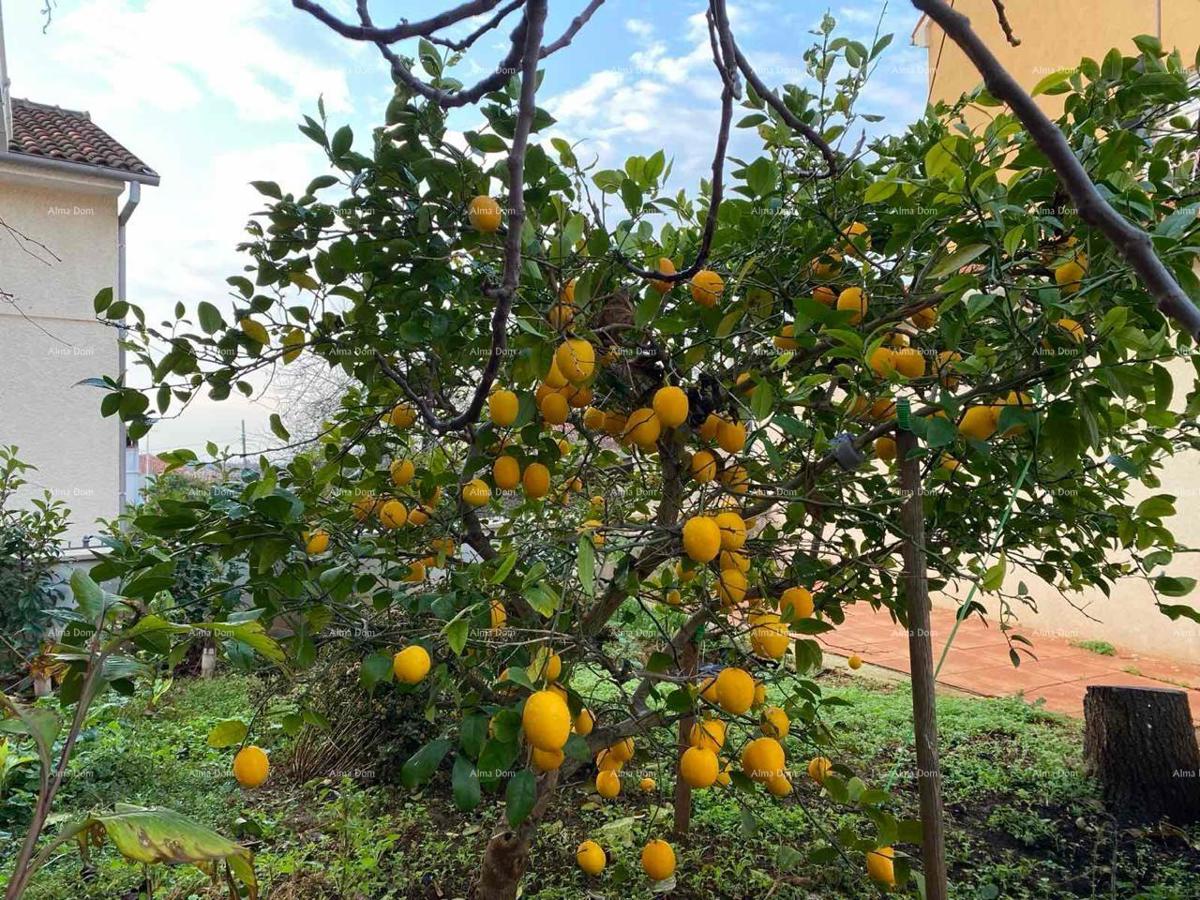 Ližnjan, urejena in popolnoma opremljena hiša z garažo in kletjo