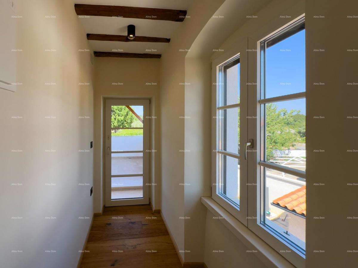 The translation of.   Istra  Barban