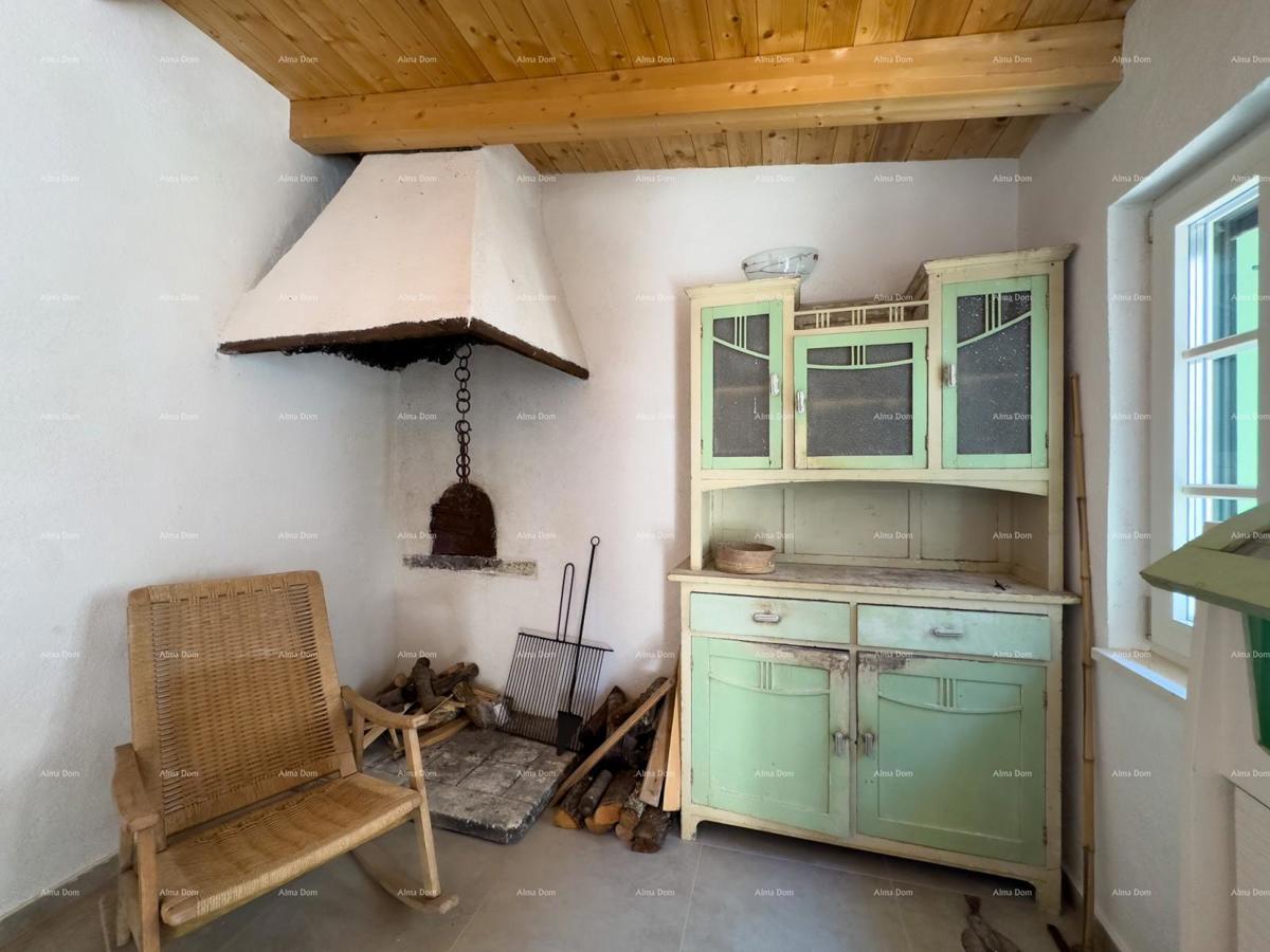 The translation of.   Istra  Barban