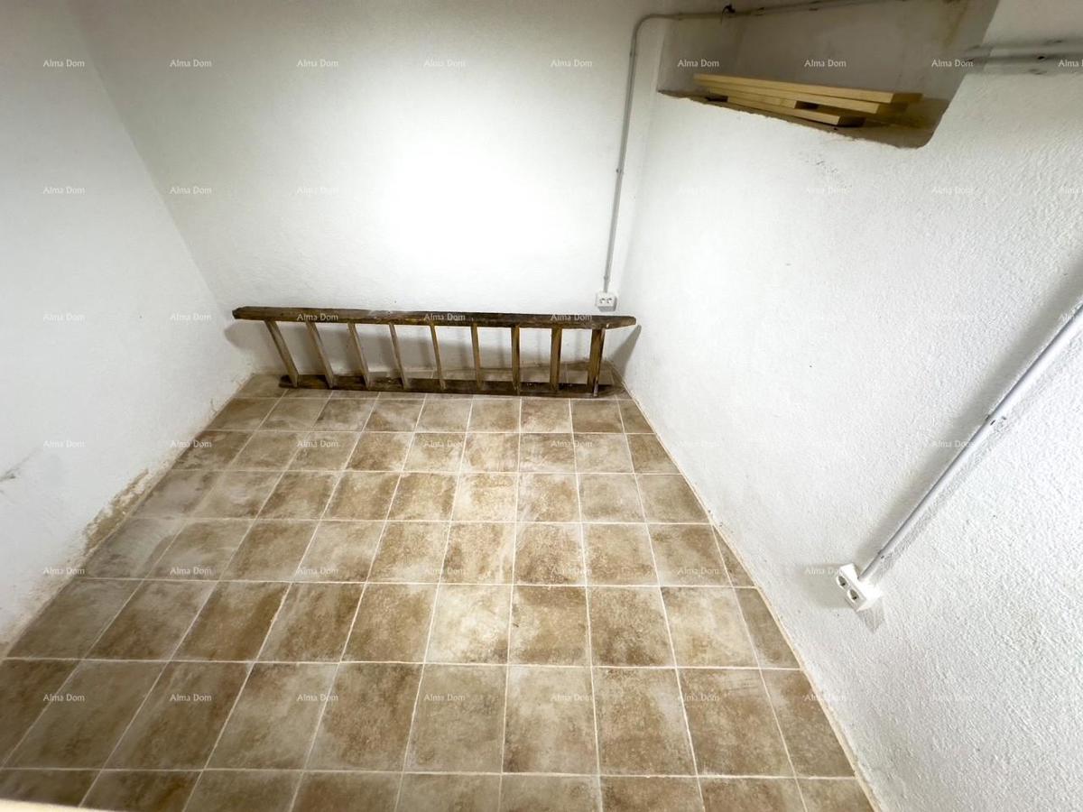 The translation of.   Istra  Barban