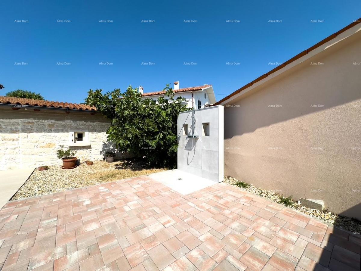 The translation of.   Istra  Barban