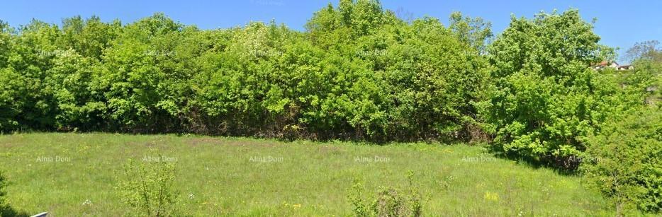 Građevinsko zemljišče 4.168 m² – Tinjan, Istra