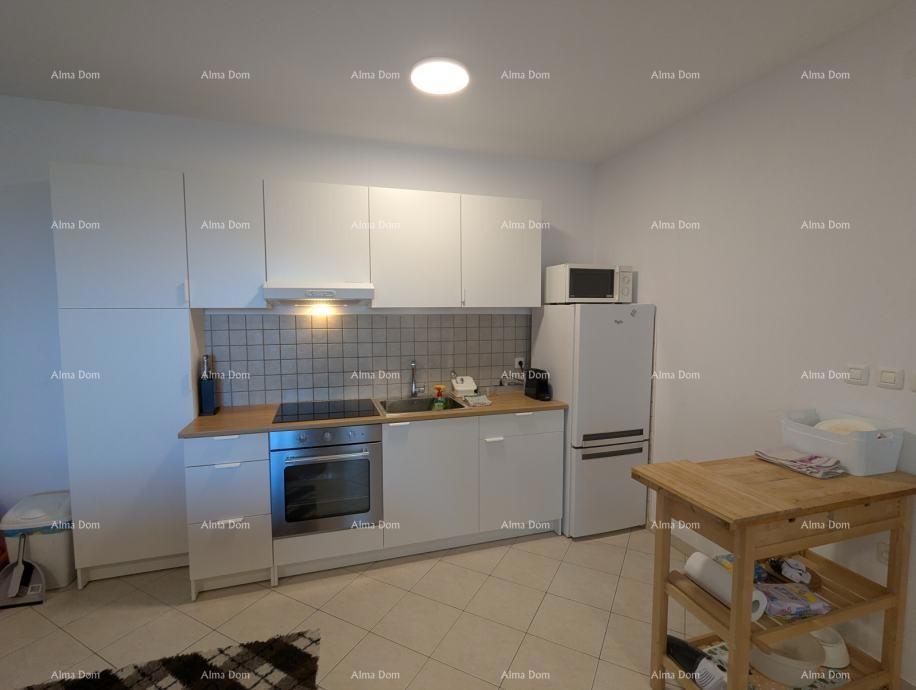 LABIN, Apartma z razgledom na morje in vrtom