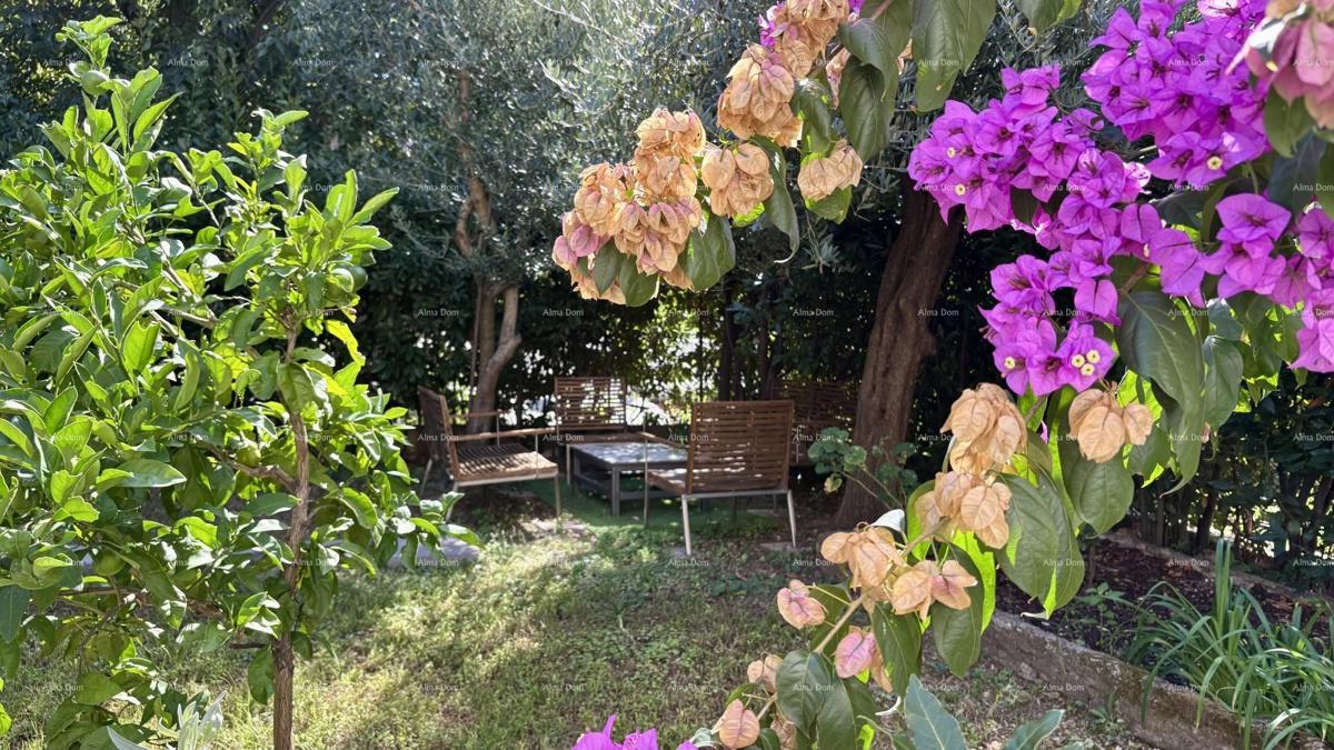 PULA, center – prodaja / stanovanje 55 m² z vrtom in parkirnim mestom