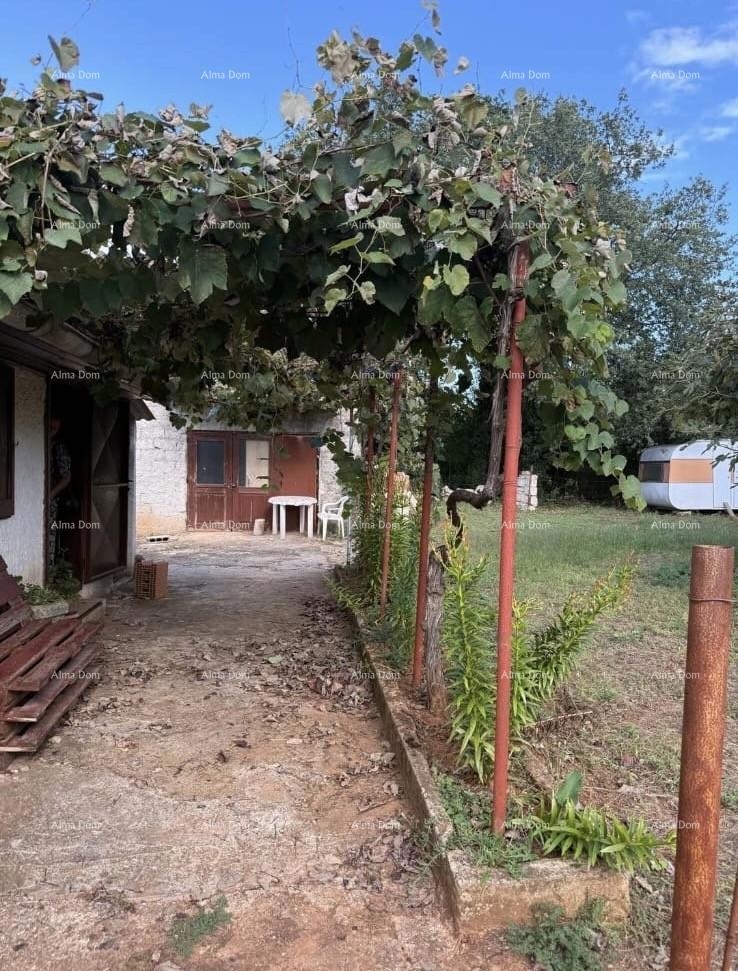 Prodamo dve manjši legalizirani hiši z zemljiščem