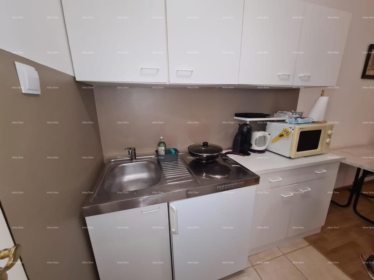 Prizemni apartma z ložo in bazenom. Medulin.