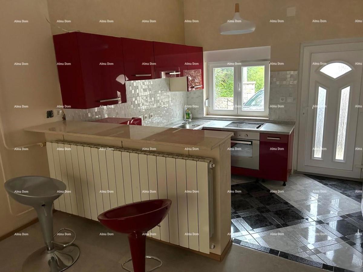 Ližnjan, urejena in popolnoma opremljena hiša z garažo in kletjo