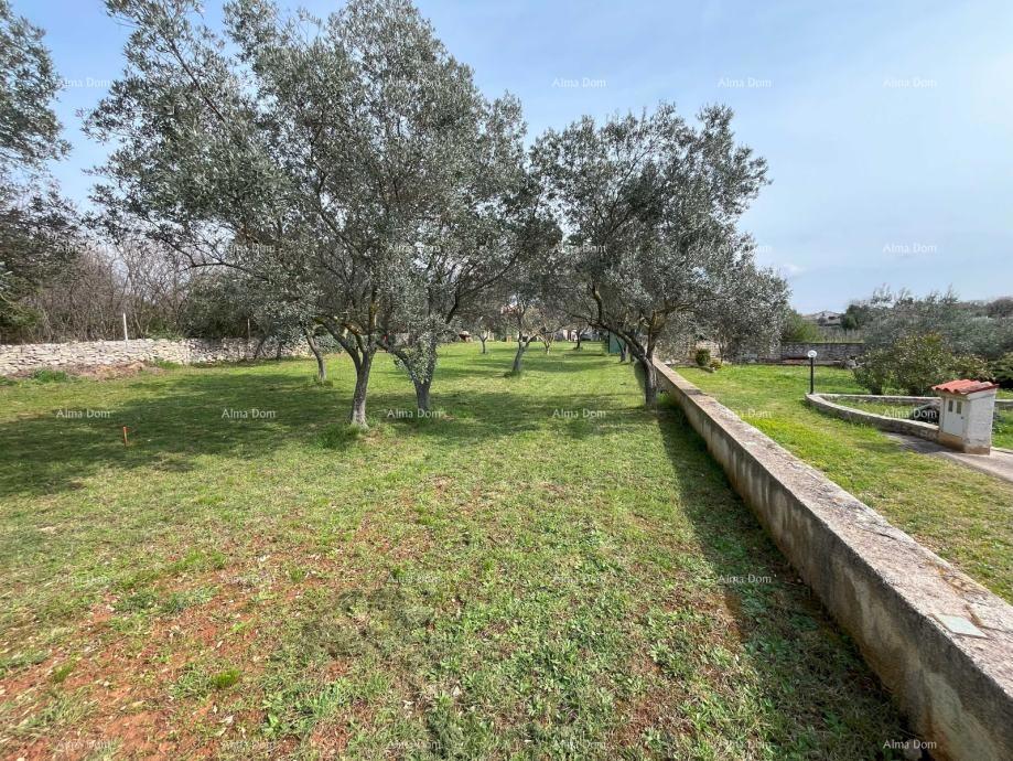 Peroj, gradbena parcela velikosti 1336 m²