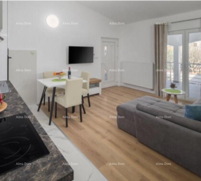 POREČ, Samostoječa hiša s bazenom in 5 stanovanjskimi enotami