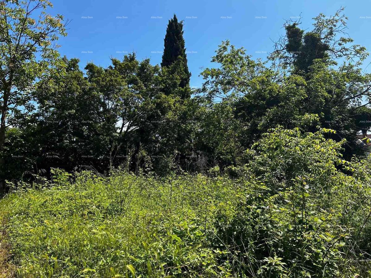 Prodaja hiše s skednjem in zemljiščem v bližini Barbana!