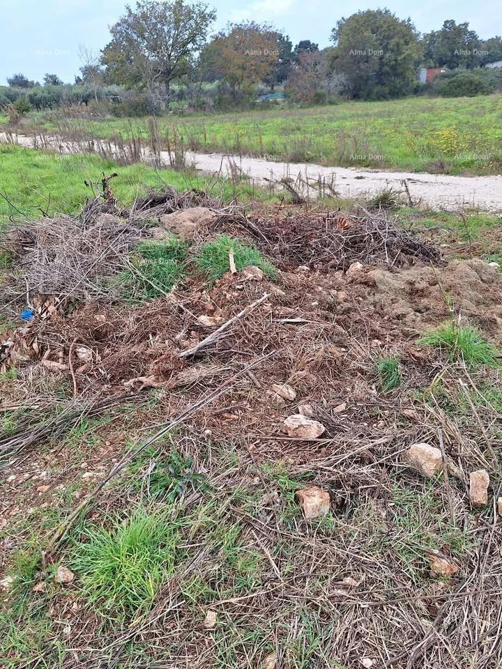 Građevinsko zemljišče Vintijan – 800 m2 – ob cesti