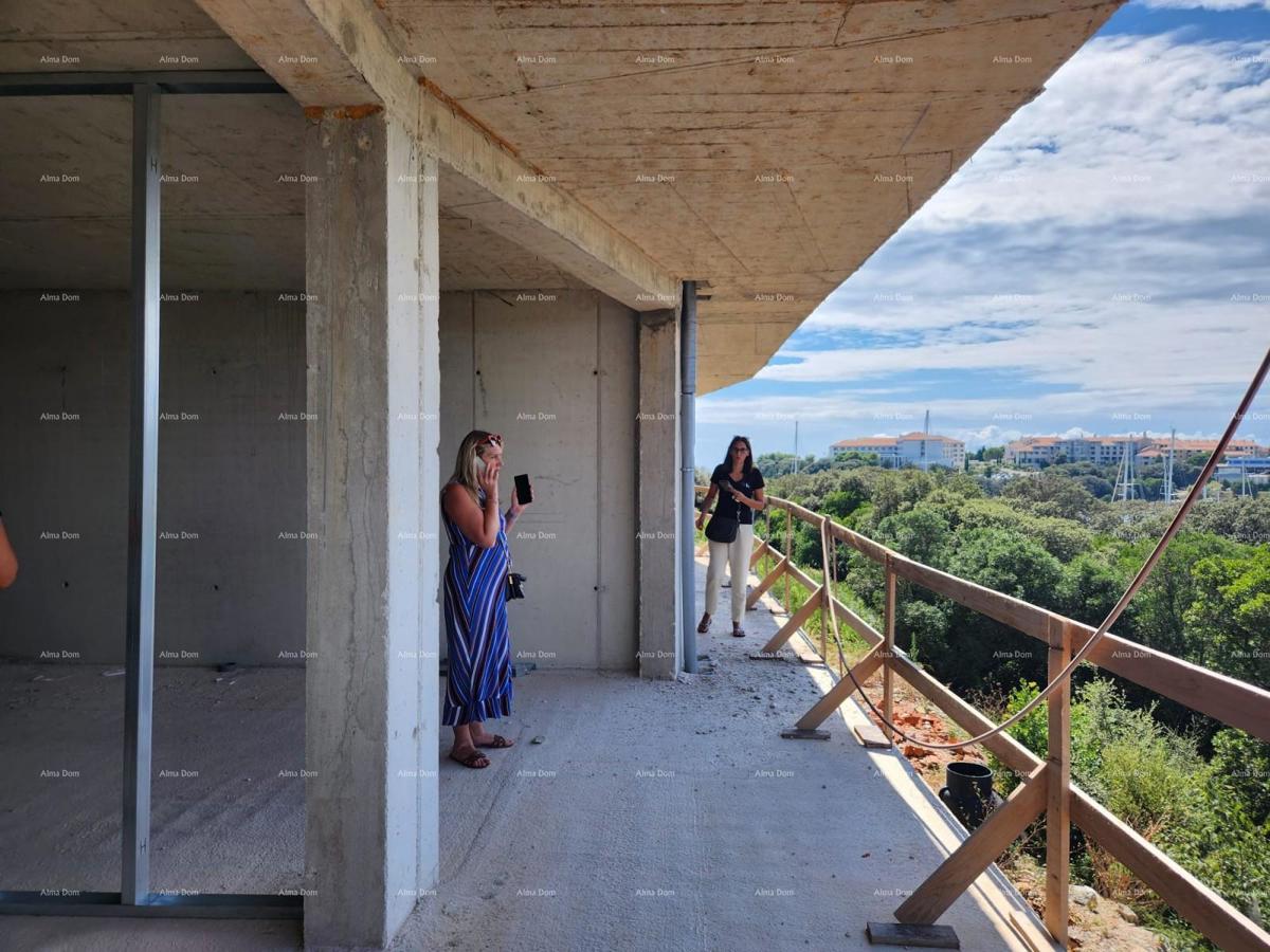 The translation of the title