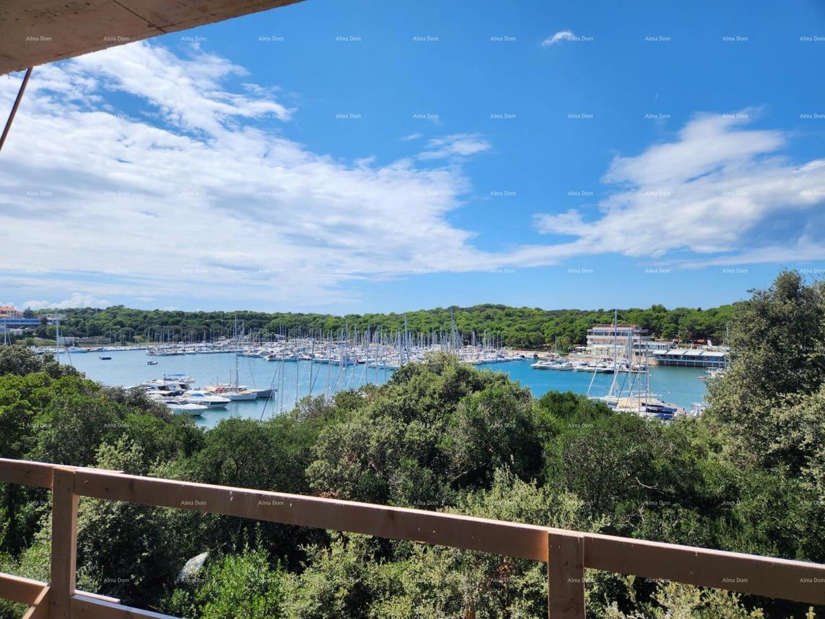 The translation of the title