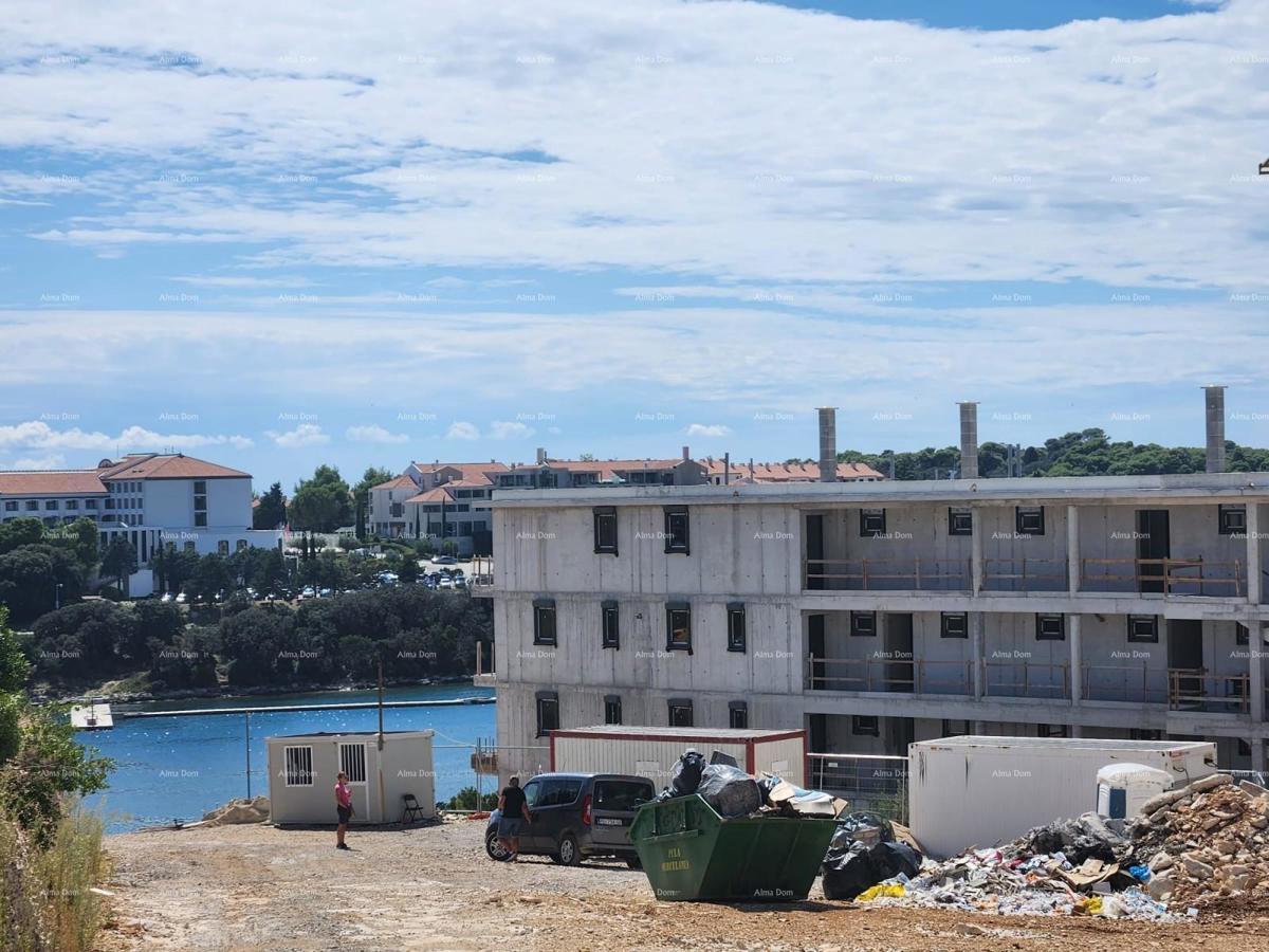 The translation of the title