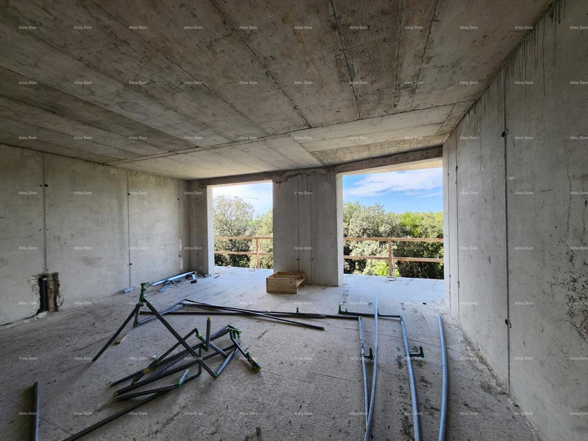 The translation of the title