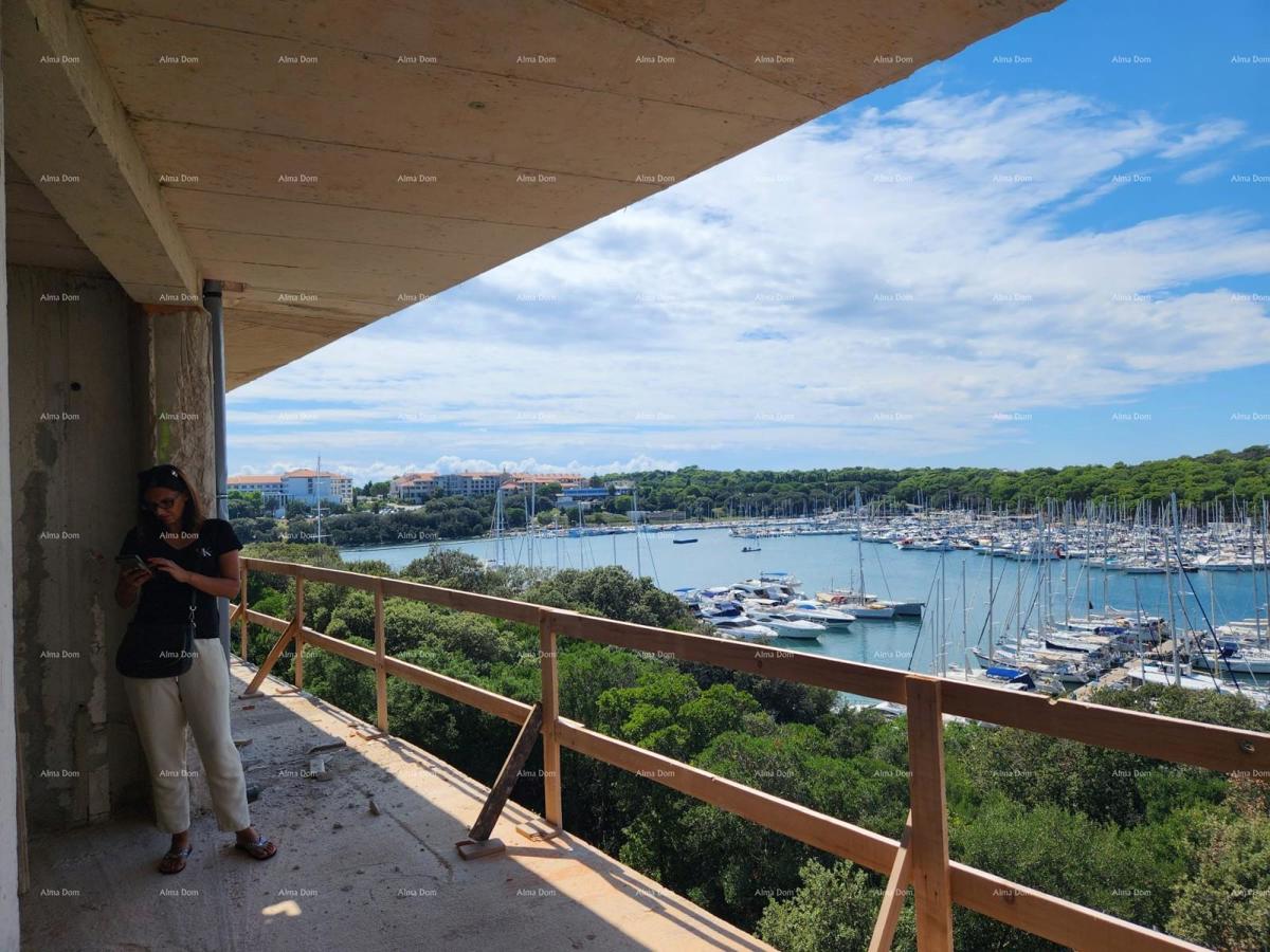 The translation of the title