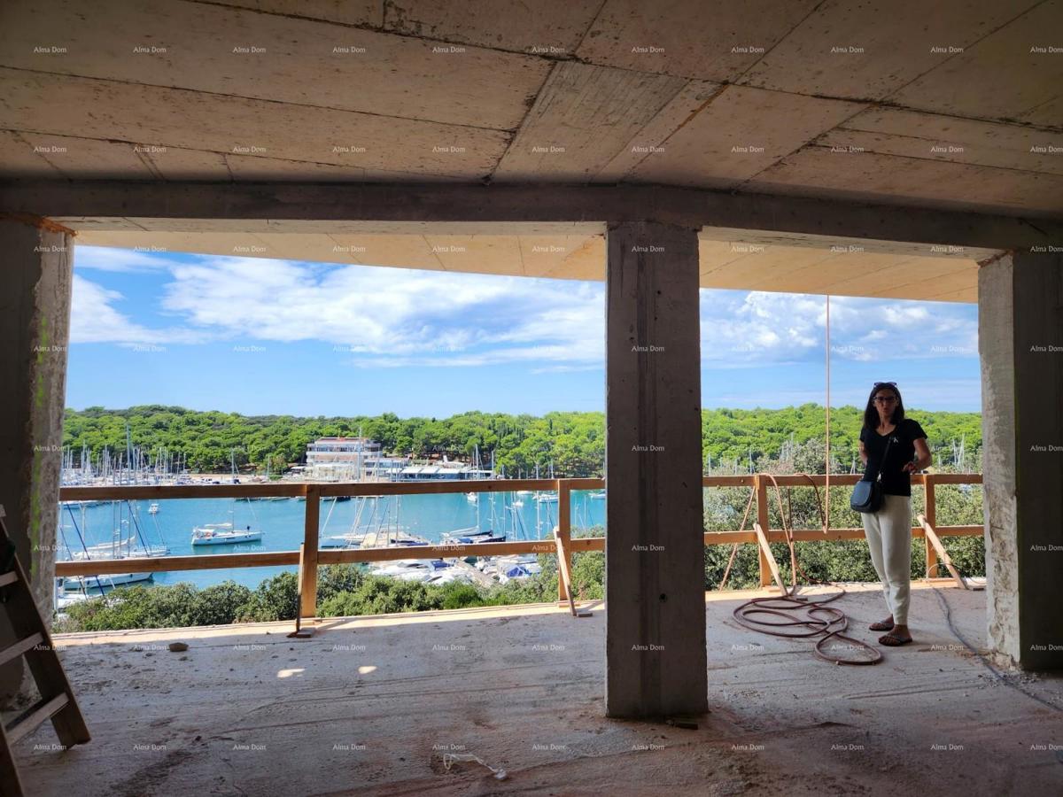 The translation of the title