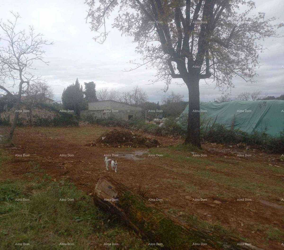 Istra, Žminj. Prodamo zazidljivo parcelo z označeno starino.